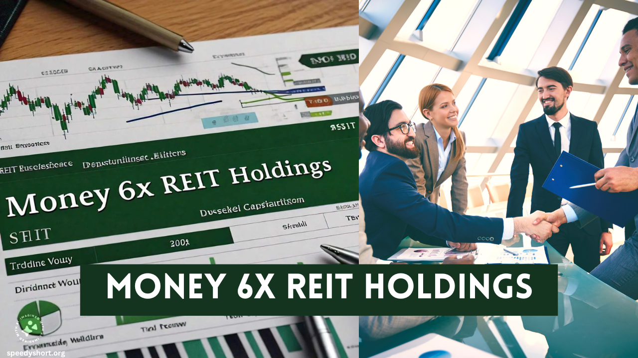 Money 6x REIT Holdings investment portfolio.