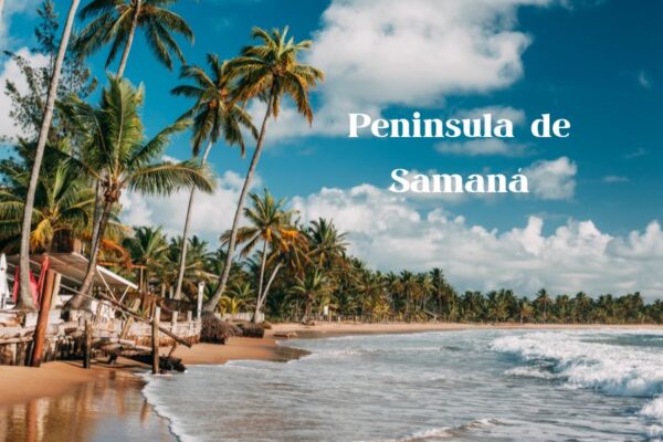 https://notipostingt.com/2023/01/14/que-ver-en-la-peninsula-de-samana/