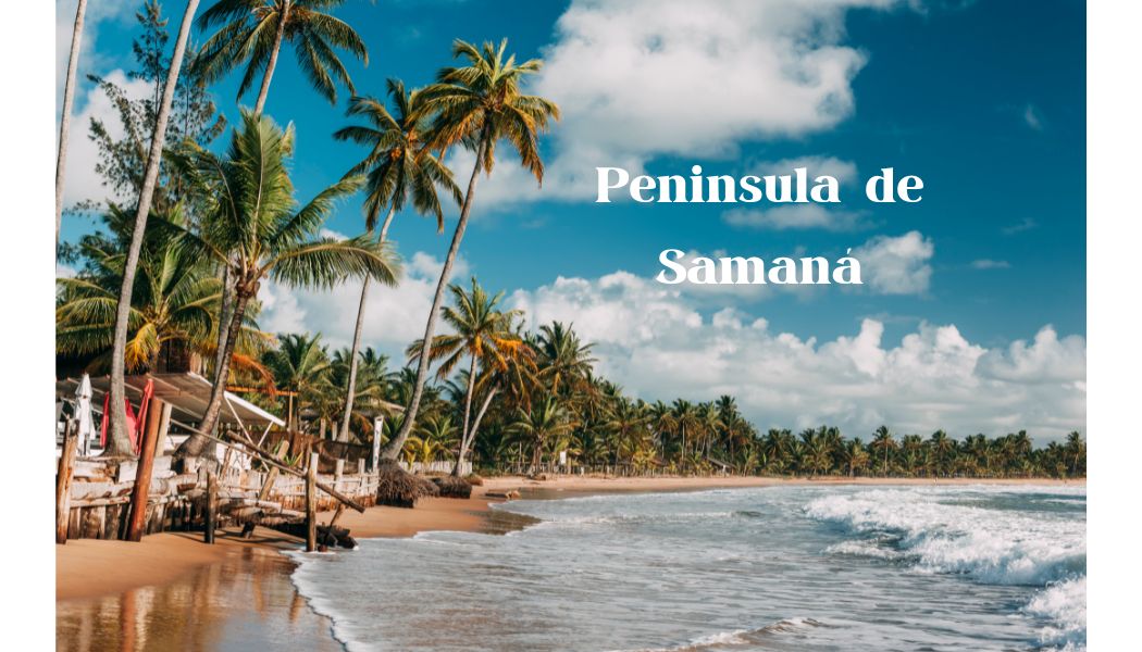 https://notipostingt.com/2023/01/14/que-ver-en-la-peninsula-de-samana/