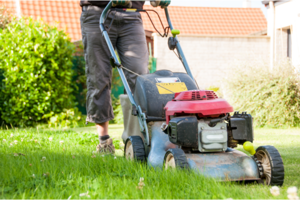 Residential & Commercial Lawn Care